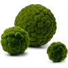 Balls Micro Organism - Piante - 