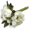 flowers  - Rośliny - 