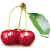 fruit - Obst - 