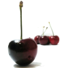 fruit - Fruit - 