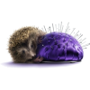 Hedgehog - Živali - 