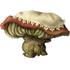 Mushroom - Illustrations - 