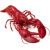 Lobster - 動物 - 