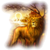 Lion - Tiere - 