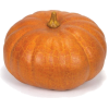 Pumpkin - Zelenjava - 