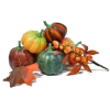 Pumpkins - Legumes - 