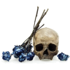 Skull - Objectos - 