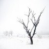 winter - Moje fotografije - 