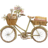 Bicicleta - Items - 