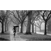 rain girl - Fundos - 