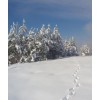 snow - Background - 