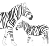 zebre - Иллюстрации - 