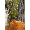 jesen 6 - Background - 