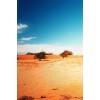 american desert2 - Hintergründe - 
