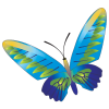 butterfly07 - イラスト - 