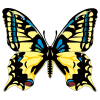 butterfly04 - イラスト - 