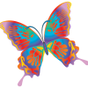 butterfly20 - イラスト - 