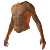male torso - Figuras - 