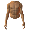 male torso front - Figuras - 