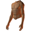 male torso side - Figuras - 