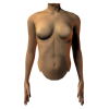 female torso front - 模特（假人） - 