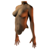 female torso side - Figura - 