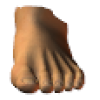 male foot front - Figura - 