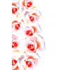 Roses - Background - 