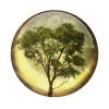Tree - Rascunhos - 