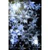 Winter flowers - Background - 