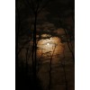 moon - My photos - 