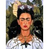movie Frida Kahlo - Ilustracije - 