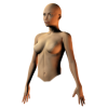 female semiprofile torso - Figura - 