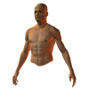 male semiprofile torso - Figure - 