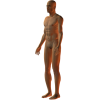 male arms lowered side - Figure - 