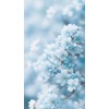natura - Priroda - 