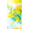natura - Priroda - 