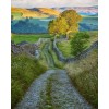nature - Nature - 
