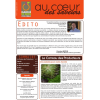 newspaper - Tekstovi - 