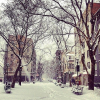 new york in the snow - Zgradbe - 