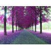 Purple Nature - Background - 