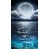 ocean and moon at night - Natural - 