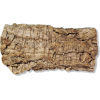 old wood bark - Nature - 