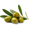 olives - Food - 