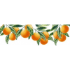 oranges - Uncategorized - 