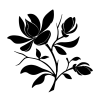 osn cb 581538 - Frames - 