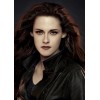 Bella, Twilight Eclipse - Moje fotografie - 