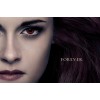 bella, twilight eclipse - Pozadine - 