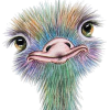 ostrich - Przedmioty - 