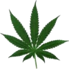weed - 植物 - 